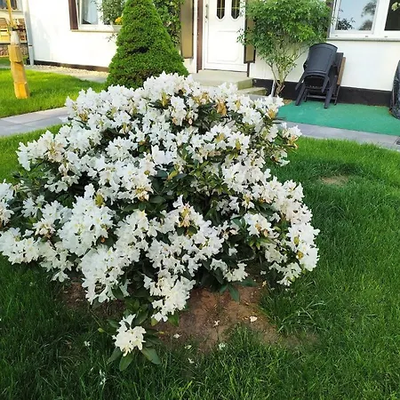 Holiday home Neu Achterland Usedom *